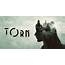 New VR Psychological Mystery Game Torn Officially Announced For PSVR 