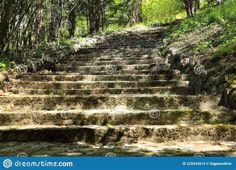 Old Stone Staircase In A Suburban Botanical Park Stock Photo Image Of