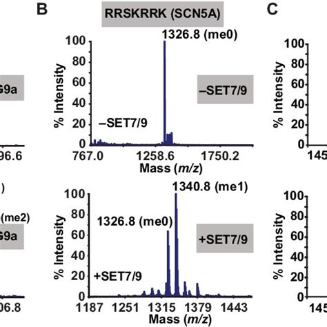 Ms Analysis Of Methylation Products The Products From Reactions Of G9a Download Scientific