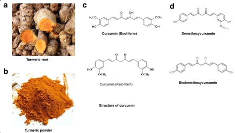 The Source And Chemistry Of Curcumin A Turmeric Powder Is Obtained