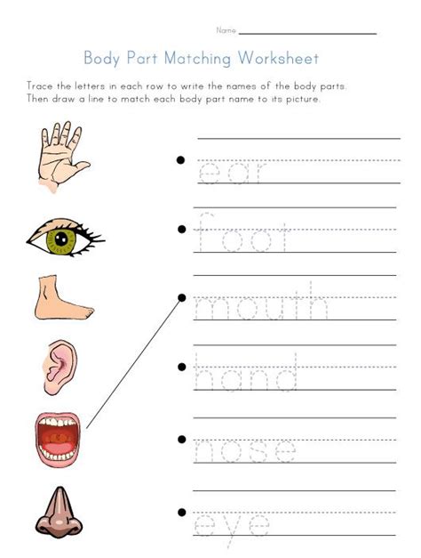 My preschooler had fun looking at all the pictures and learning the body parts he had never seen before too. body matching worksheet | 시도해 볼 프로젝트 | Pinterest ...