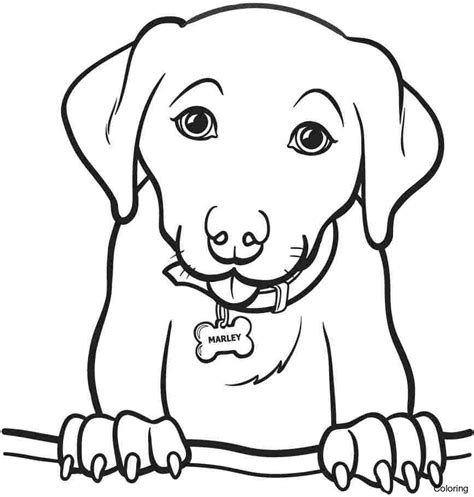 Simple Dog Coloring Pages At Free