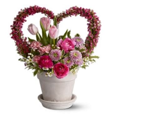 Find over 100+ of the best free flower heart images. Heart shape flowers valentines day pictures.PNG