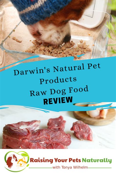 Best Raw Dog Food Reviews Darwins Natural Pet Products Raw Dog Food
