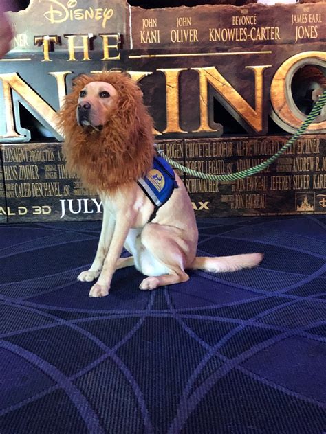 Summerfield Cinemas - Home | Facebook