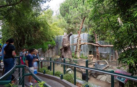 Panda Trek At The San Diego Zoo Designed By Fpba