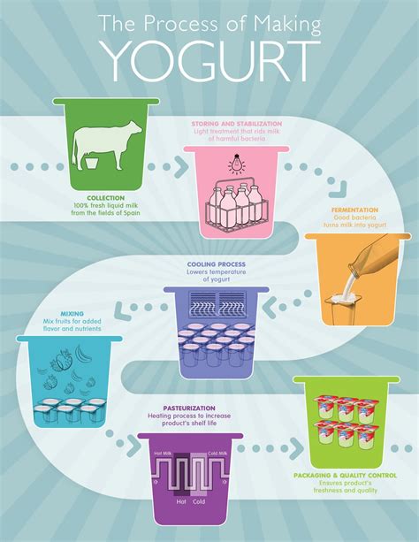 Resultado De Imagen Para Yogurt Infographic Making Yogurt Mixed