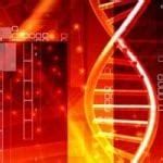 Genetics is a promising field of research. Gene Study Points to New Mesothelioma Treatment Options ...