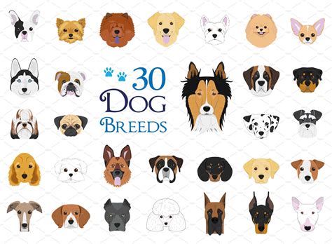 These 20 popular dog breeds are known for their unique appearances and personalities. 30x Dog breeds Vector Collection ~ Illustrations ...