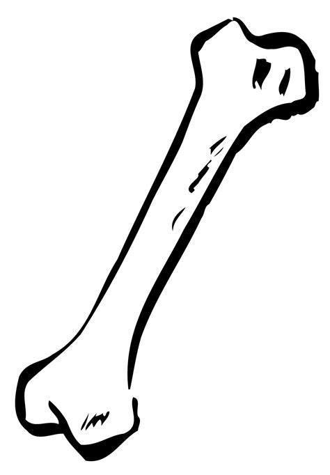 Skeleton Arm Clipart Free Download On Clipartmag