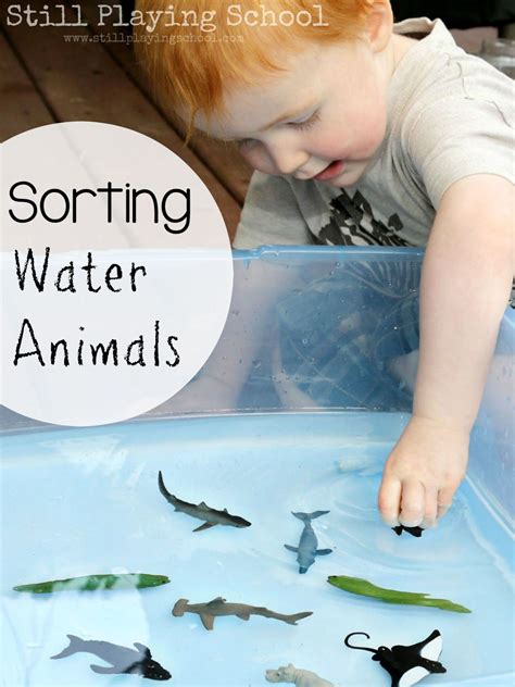 Water Play Sorting Land And Water Animals Water Play