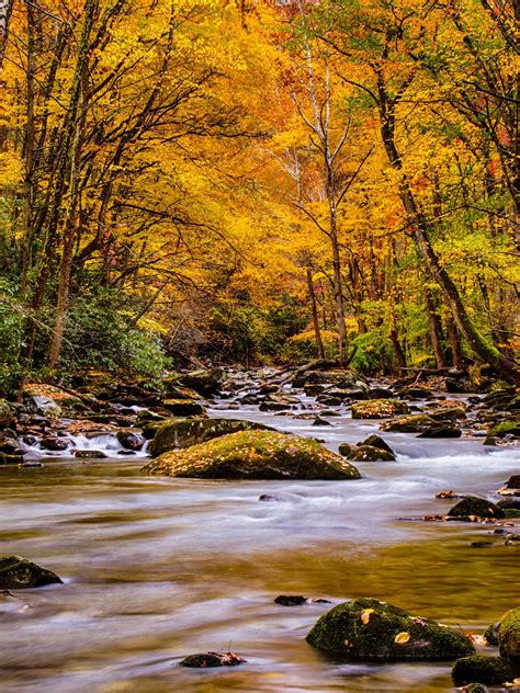 Smoky Mountains Autumn Wallpapers Wallpaper Cave