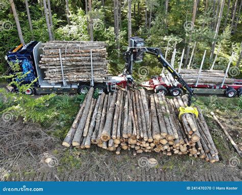 Scania Logging Truck Loading Pine Trees In The Forest Stock Photo