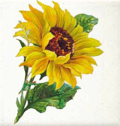 Maybe you would like to learn more about one of these? Sunflower~counted cross stitch pattern #291~Flowers Floral ...