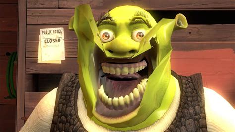 Pin De Megyn Pettry Em Shrek Memes Engra Ados Memes Hil Rios Rostos