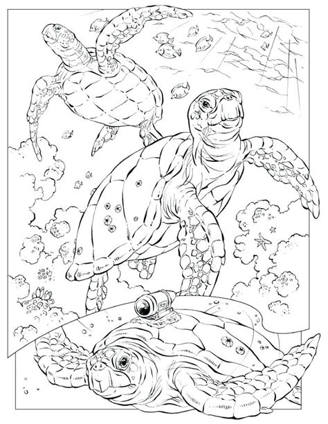 Ocean Scene Coloring Pages At Getdrawings Free Download