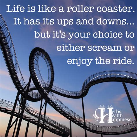 Life Is Like A Roller Coaster ø Eminently Quotable Inspiring And