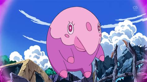 Fennel Anime Pokémon Wiki Fandom Powered By Wikia