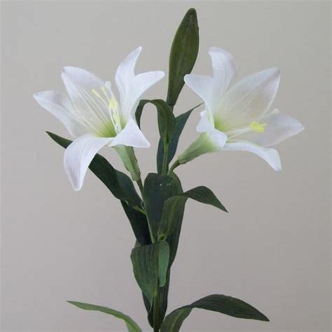 Silk Easter Lilies Lilium Longiflorum Cm Artificial Flowers