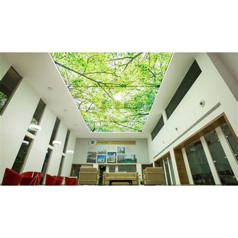 Through air interlayer between the tension and the basic when operating the stretch ceilings to avoid mechanical damage to the web and avoid contact with objects, which can cause damage to it. Printed Stretch False Ceiling, स्ट्रेच छत - Shree Sales ...
