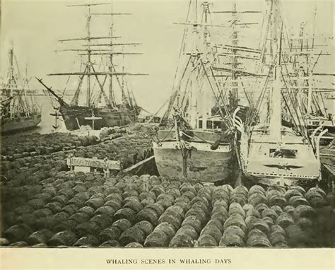 New Bedford Whaling Ships And Oil Casks