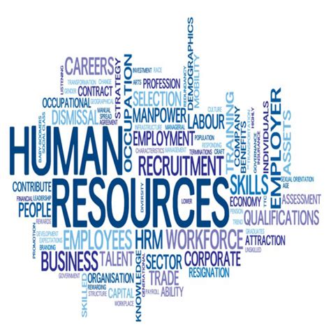 Human Resources Consultancy | Kilani Consulting