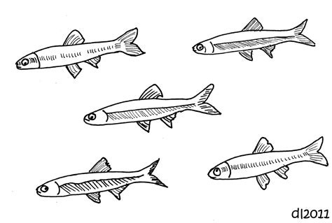 10 Captivating Methods On Utilizing Minnow Coloring Page To Boost Your