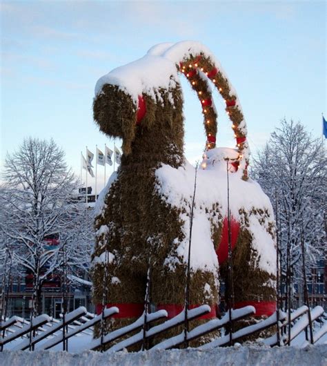 A Christmas Oddity The Giant Straw Goat In Sweden That People Try To