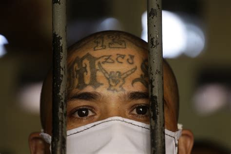 Mula The Salvadoran Gang Member Who Became A Legend In Tijuana For His Ties To The Sinaloa