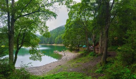 Panoramic View Of Beautiful Lake In Mountains Spruce Forest In Stock
