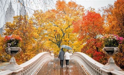 16 Best Spots To Catch Nycs Peak Fall Foliage Secretnyc