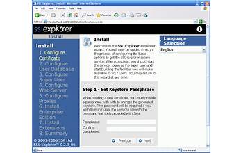 DHCP Explorer screenshot #0