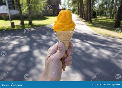 Orange Icecream In Ice Cream Cone In Hand Stock Image Image Of Taste