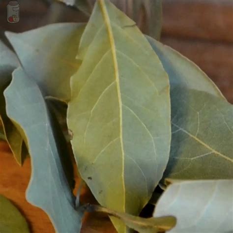 How To Store Bay Leaves Fresh Or Dried For Longer •【 2023