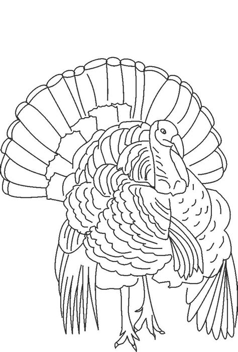 Turkeys, pumpkin pie, food and more turkey pages to print and sheets to color. The King Of Wild Turkey Coloring Pages | Turkey drawing ...