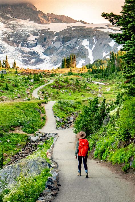 Hiking The Jaw Dropping Skyline Loop Trail At Mt Rainier National Park