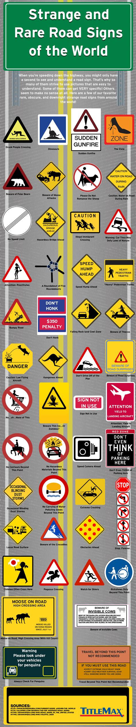 Strange And Rare Road Signs Of The World Infographic Titlemax