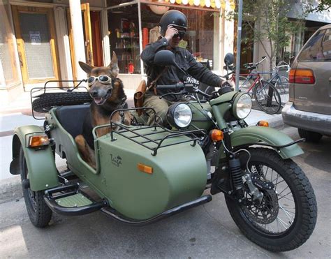You find custom builders in the most unlikely of places. dog sidecar motorcycle - Google zoeken | Коляска мотоцикла ...