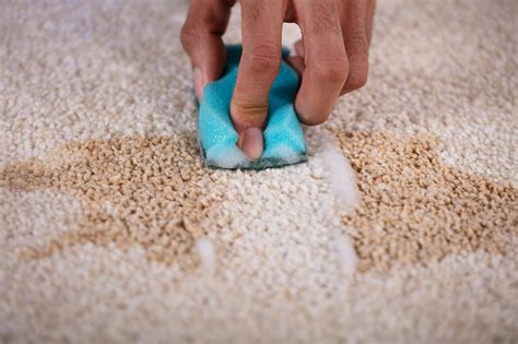 Carpet Stain Remover White Vinegar And Baking Soda