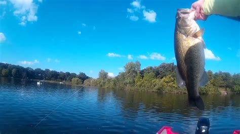 Pre Fishing On Lake Marion Youtube