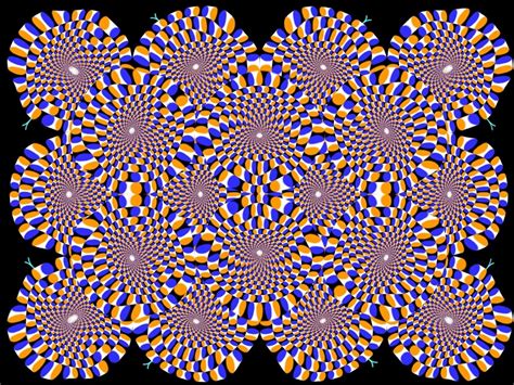 Viraj Bhagat Optical Illusions 11