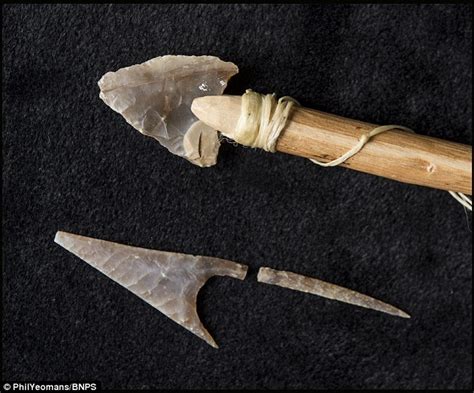5000 Year Old Flint Arrowhead Could Be The Work Of A Stone Age