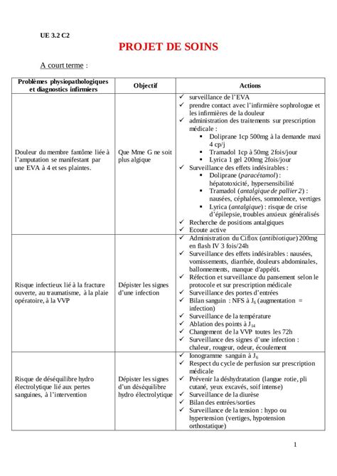 Exemple De Projet De Soin Infirmier Le Meilleur Exemple