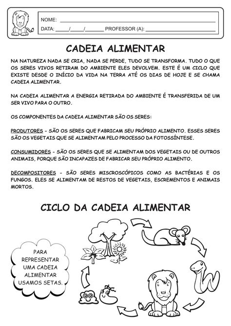 Exercicios Sobre Cadeia Alimentar