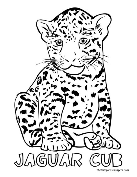 Jungle Animals Coloring Pages at GetColorings.com | Free printable