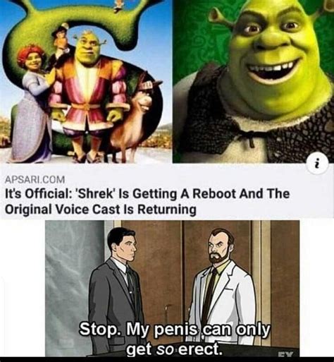 Shrek Reboot Stop My Penis Can Only Get So Erect Know Your Meme