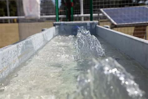 How To Keep Your Livestock Water Trough Clean And Algae Free
