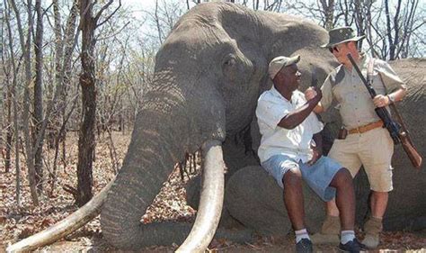 Sick Hunters Worldwide Celebrate Shooting Of Africa S Biggest Elephant World News Express
