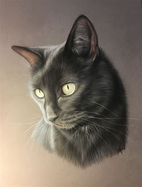 The Black Cat Realism Catsxi
