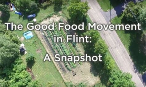 The Good Food Movement In Flint A Snapshot Michigan Good Food Charter